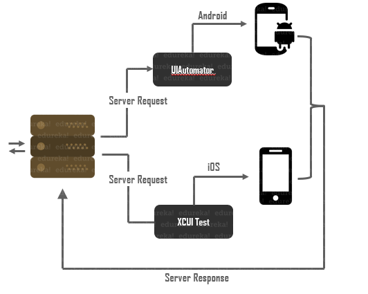 Appium Internal Diagram - What is Appium - edureka