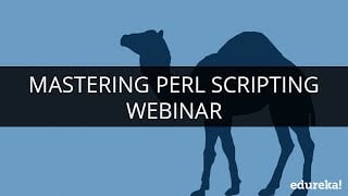 Mastering Regex in Perl