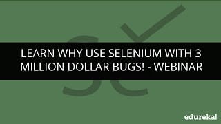 Why Use Selenium with $3 Million Bugs?