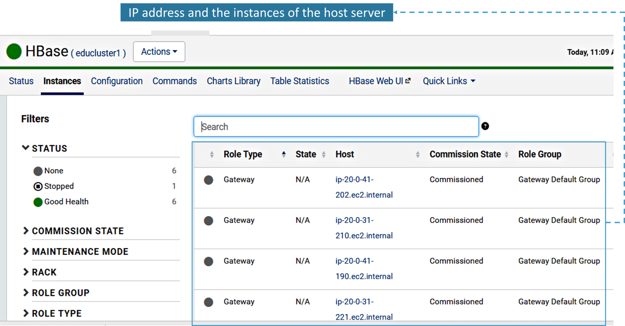 Fig: Status and IP address of the Host Server of the HBase cluster