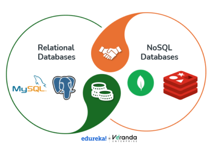 database managment 