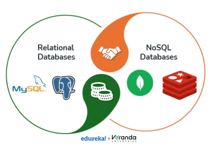 Database Management 