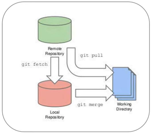 Difference In Git Pull And Fetch